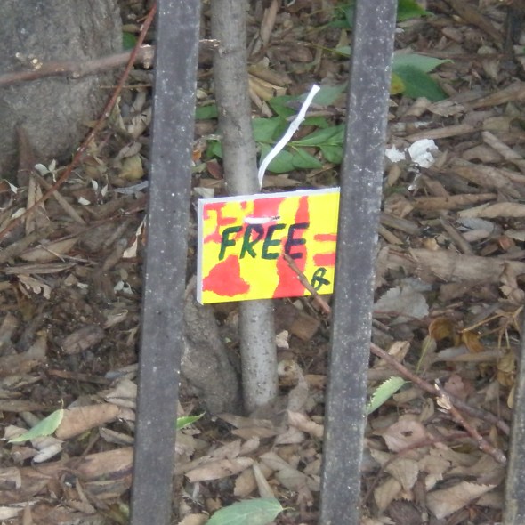 Free - Sharing messages on canvas - Barcelona - Spain