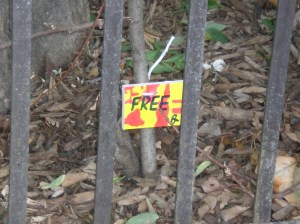 Free - Sharing messages on canvas - Barcelona - Spain